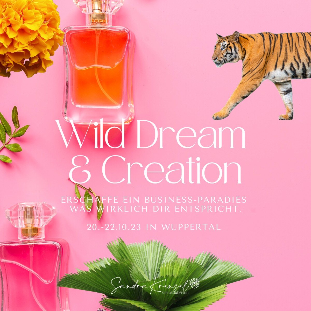 Wild Dream & Creation Branding Workshop